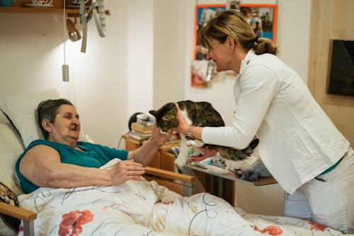 A caregiver is giving a pet to a senior person in a bed
